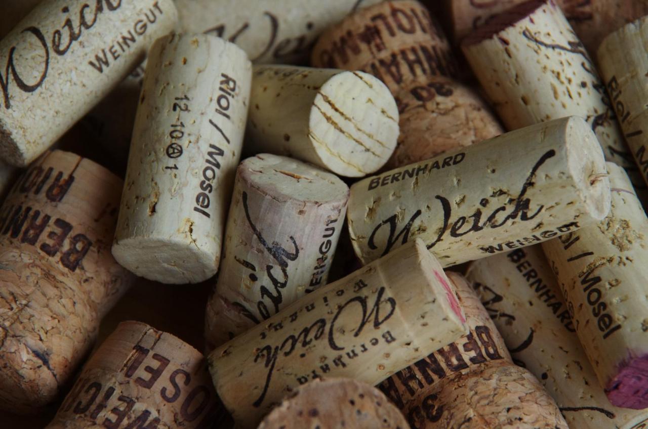 Hotel Weingut Weich Riol Zewnętrze zdjęcie
