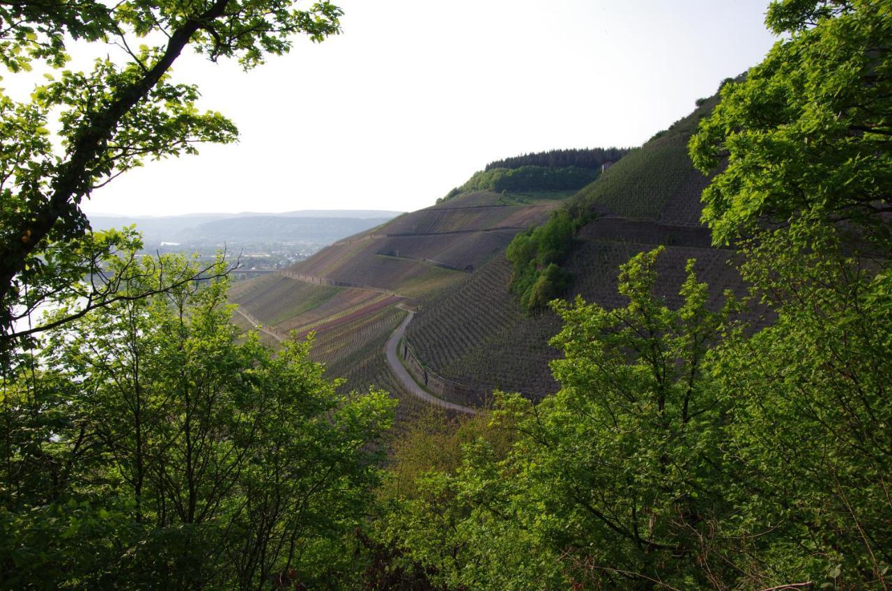 Hotel Weingut Weich Riol Zewnętrze zdjęcie