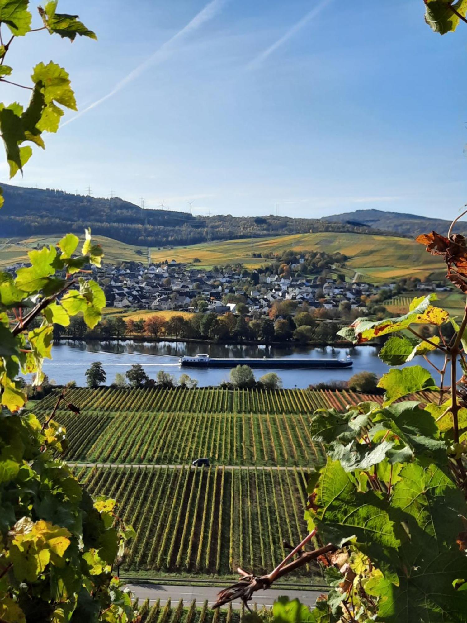 Hotel Weingut Weich Riol Zewnętrze zdjęcie